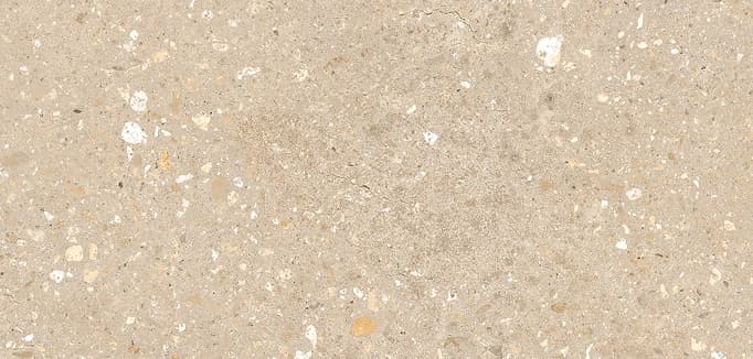 60 x 120 cm rect. 10 mm